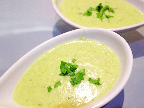 【ヘルシースープ】九条ネギのポタージュ